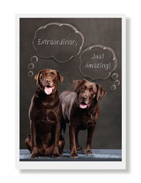 Hooray for the Underdogs Encouragement & Sympathy Cards