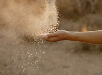 Cicada Desert Milk Bath