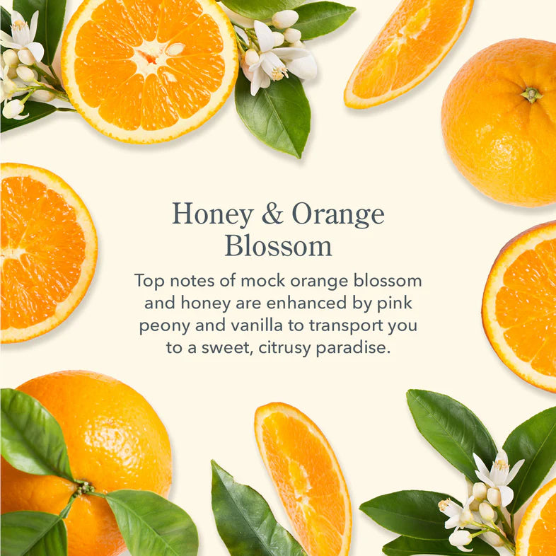 Beekman Whipped Body Cream in Honey & Orange Blossom