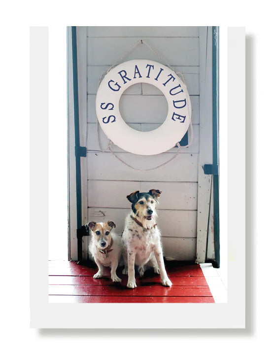 Hooray for the Underdogs Thank You Cards