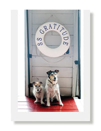 Hooray for the Underdogs Thank You Cards