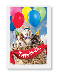 Hooray for the Underdog Birthday Cards