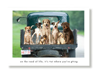 Hooray for the Underdog Birthday Cards