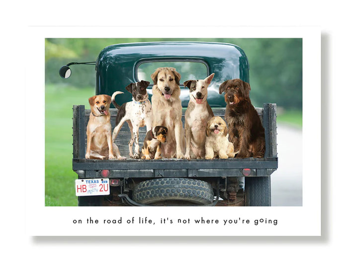 Hooray for the Underdog Birthday Cards