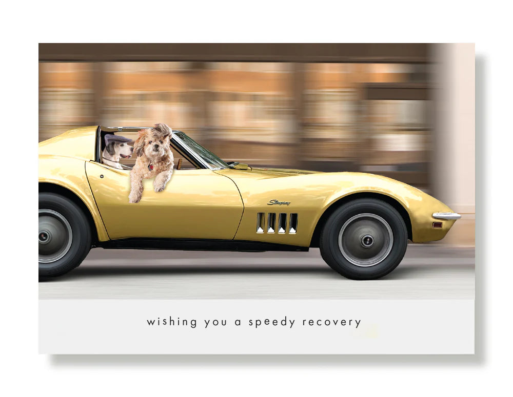 Hooray for the Underdogs Encouragement & Sympathy Cards