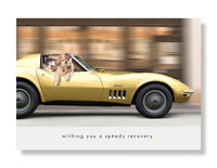 Hooray for the Underdogs Encouragement & Sympathy Cards