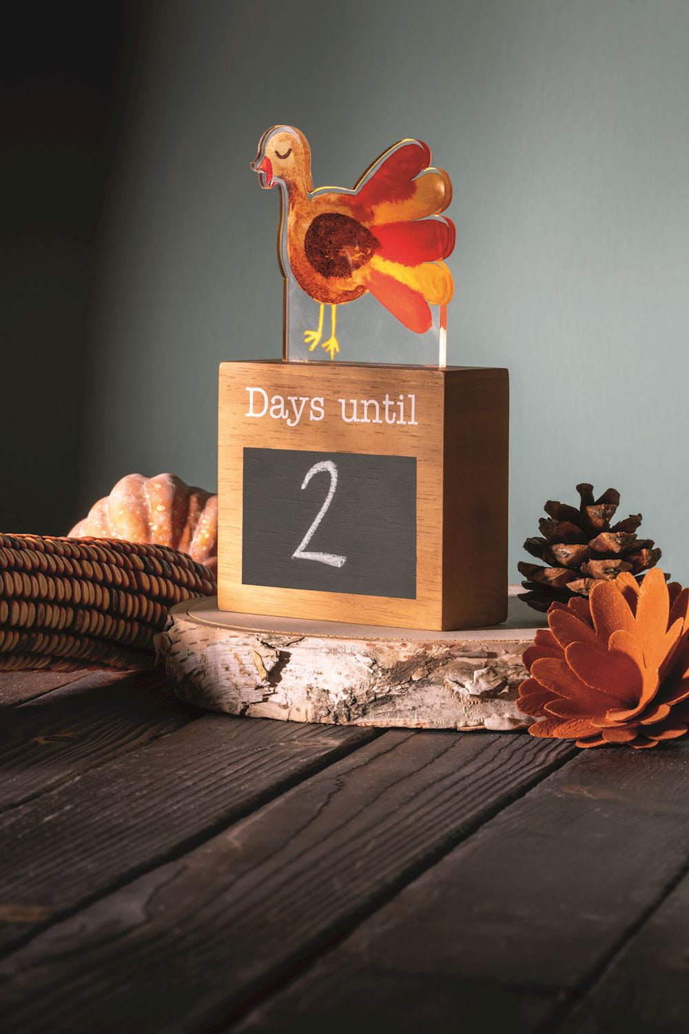 Light-Up Holiday Countdown Set