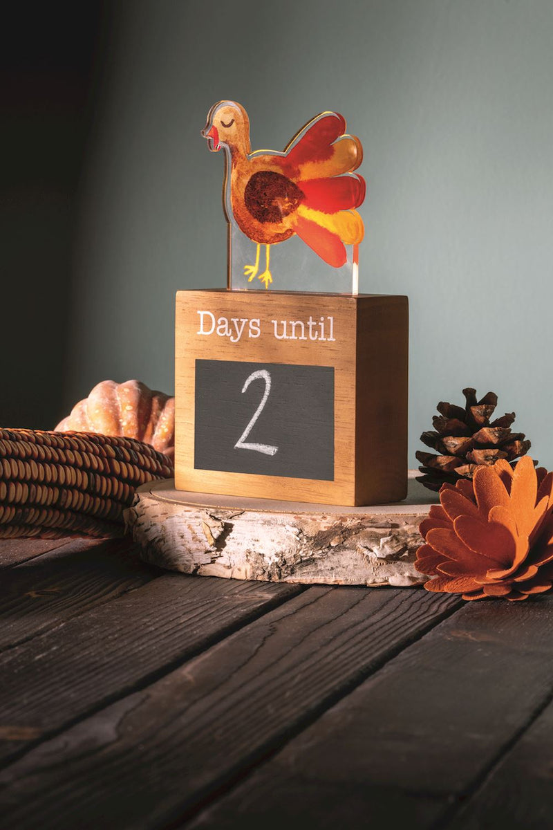 Light-Up Holiday Countdown Set