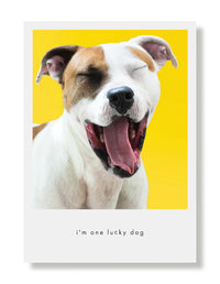 Hooray for the Underdogs Friendship Cards