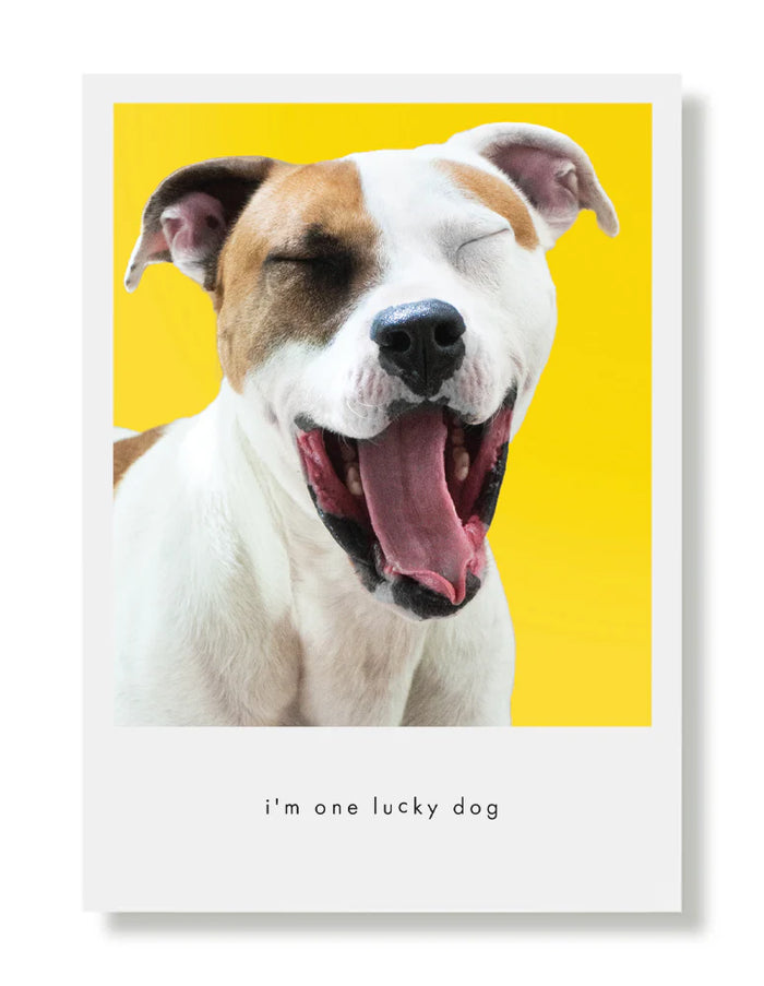 Hooray for the Underdogs Friendship Cards