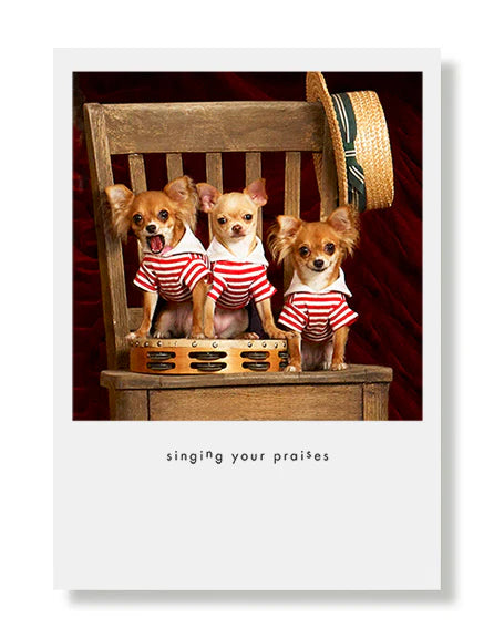 Hooray for the Underdogs Friendship Cards