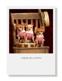Hooray for the Underdogs Friendship Cards