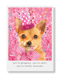 Hooray for the Underdog Birthday Cards