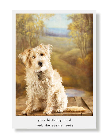 Hooray for the Underdog Birthday Cards