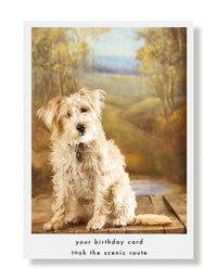 Hooray for the Underdog Birthday Cards