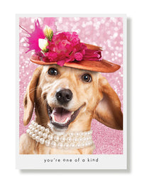 Hooray for the Underdog Birthday Cards