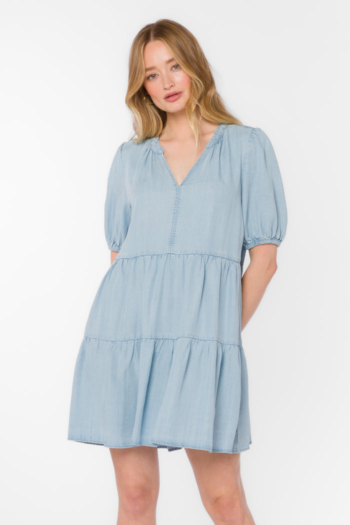 Marscina Chambray Dress