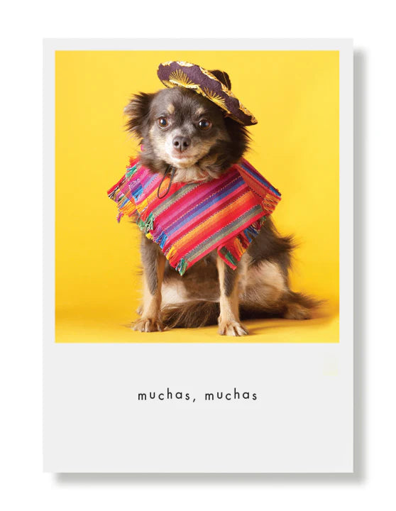 Hooray for the Underdogs Thank You Cards