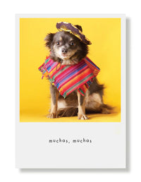 Hooray for the Underdogs Thank You Cards