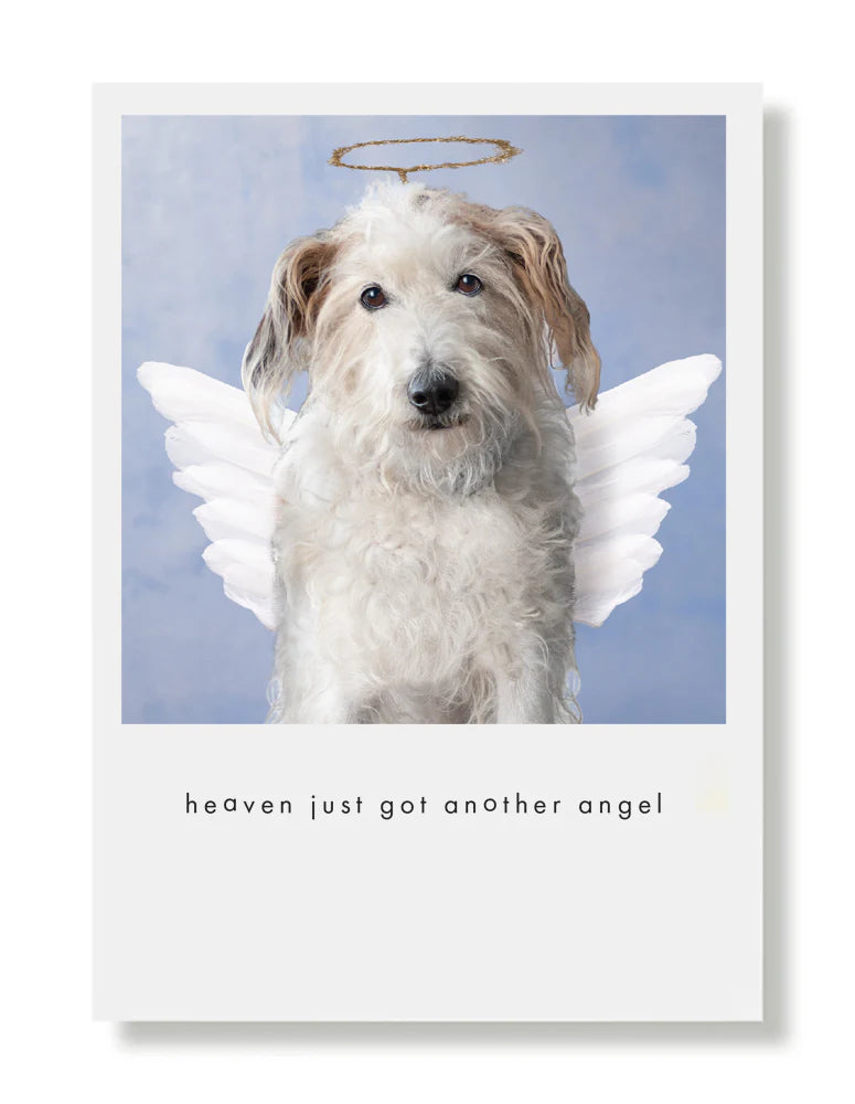 Hooray for the Underdogs Encouragement & Sympathy Cards