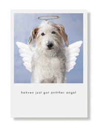 Hooray for the Underdogs Encouragement & Sympathy Cards