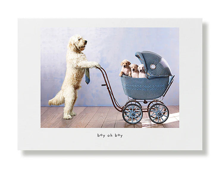Hooray for the Underdogs Baby Cards