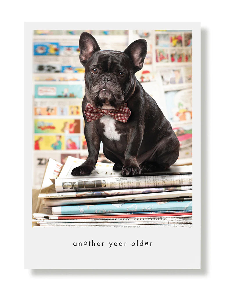 Hooray for the Underdog Birthday Cards