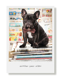 Hooray for the Underdog Birthday Cards