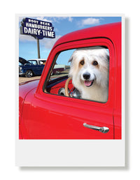Hooray for the Underdog Birthday Cards