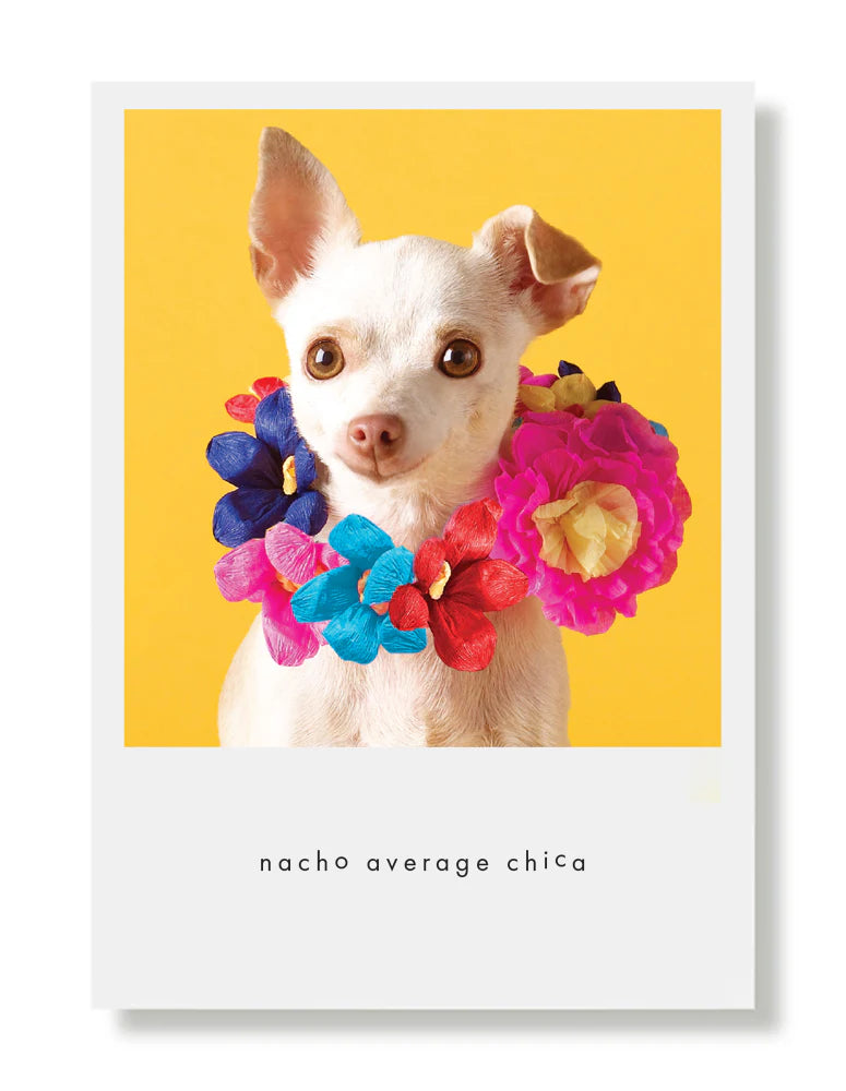 Hooray for the Underdog Birthday Cards