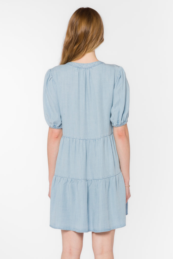 Marscina Chambray Dress