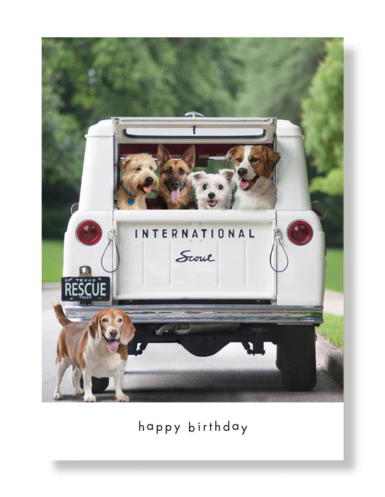 Hooray for the Underdog Birthday Cards