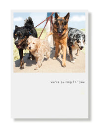 Hooray for the Underdogs Encouragement & Sympathy Cards