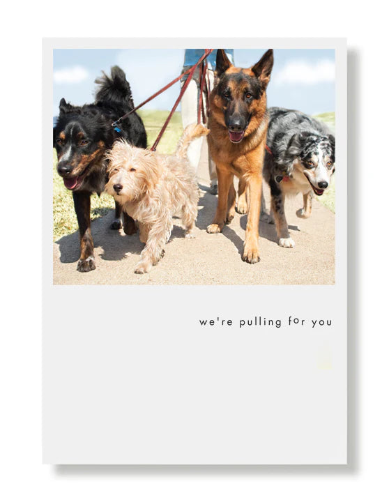 Hooray for the Underdogs Encouragement & Sympathy Cards