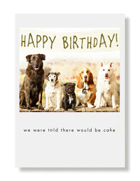 Hooray for the Underdog Birthday Cards