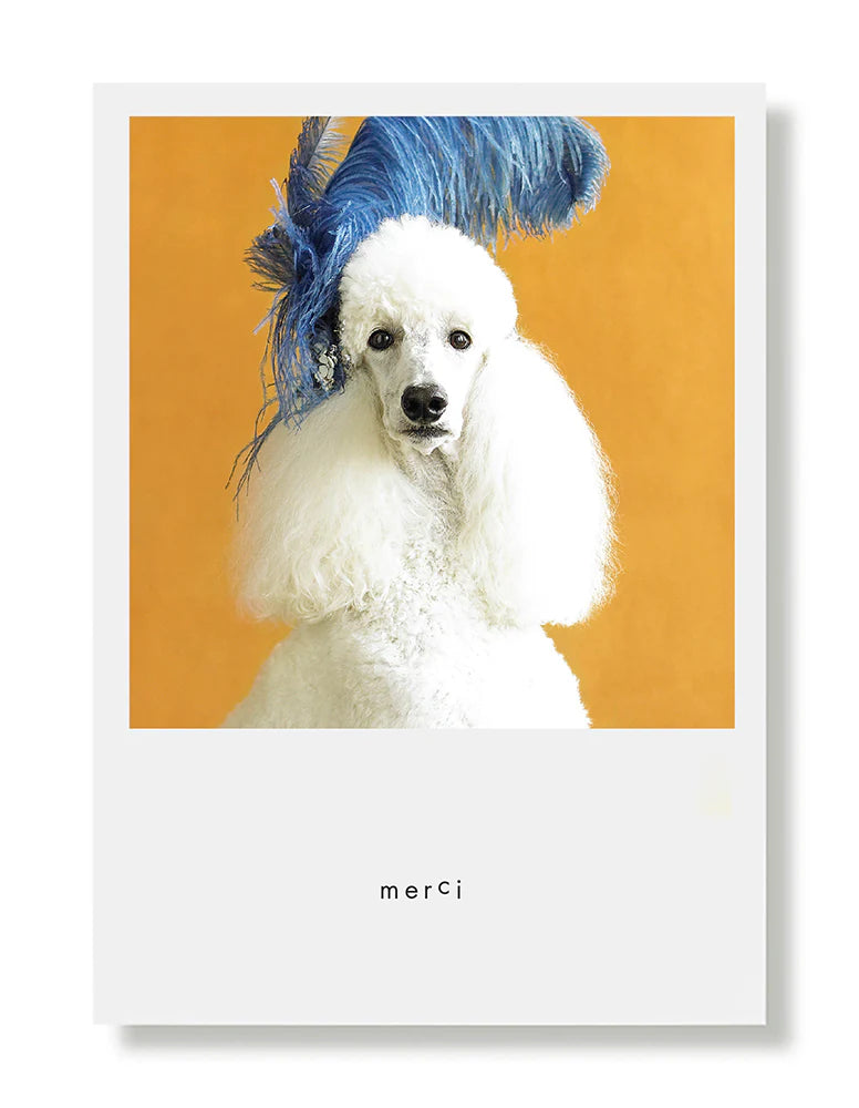 Hooray for the Underdogs Thank You Cards