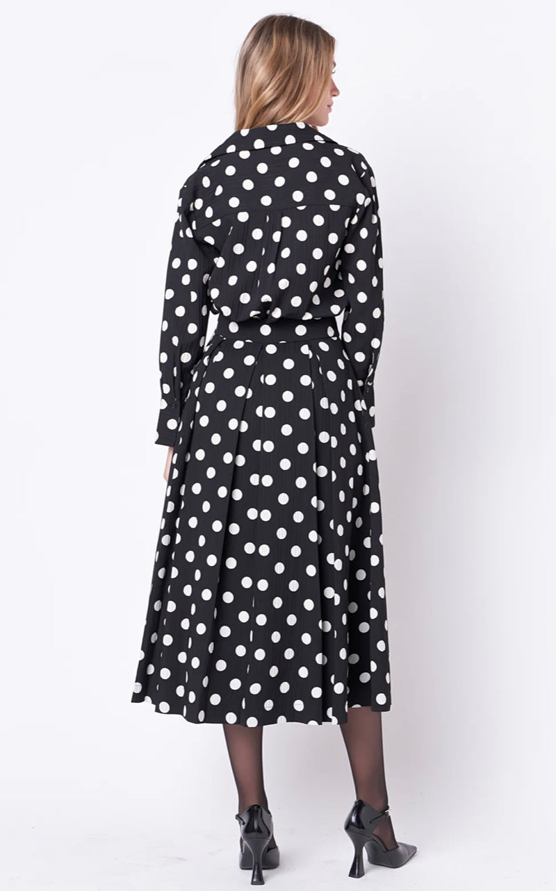 Polka Dot Full Skirt Dress