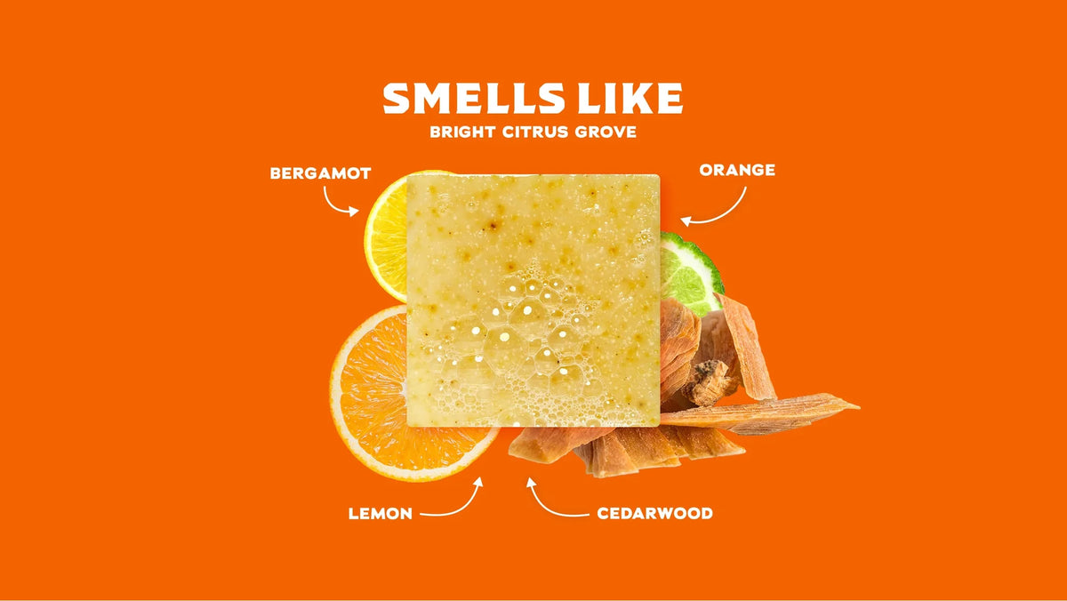 Dr. Squatch Summer Citrus Soap