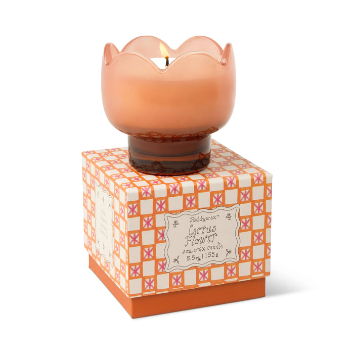 Paddywax Cactus Flower Tulip 5.5oz Glass w/ Printed Box