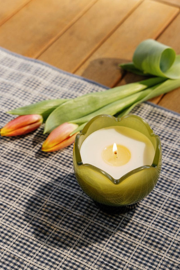 Paddywax Verbena & Lemongrass Tulip Glass Candle