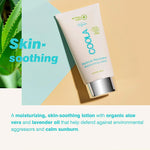Coola Radical Recovery Moisturizing Lotion